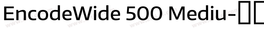 EncodeWide 500 Mediu字体转换